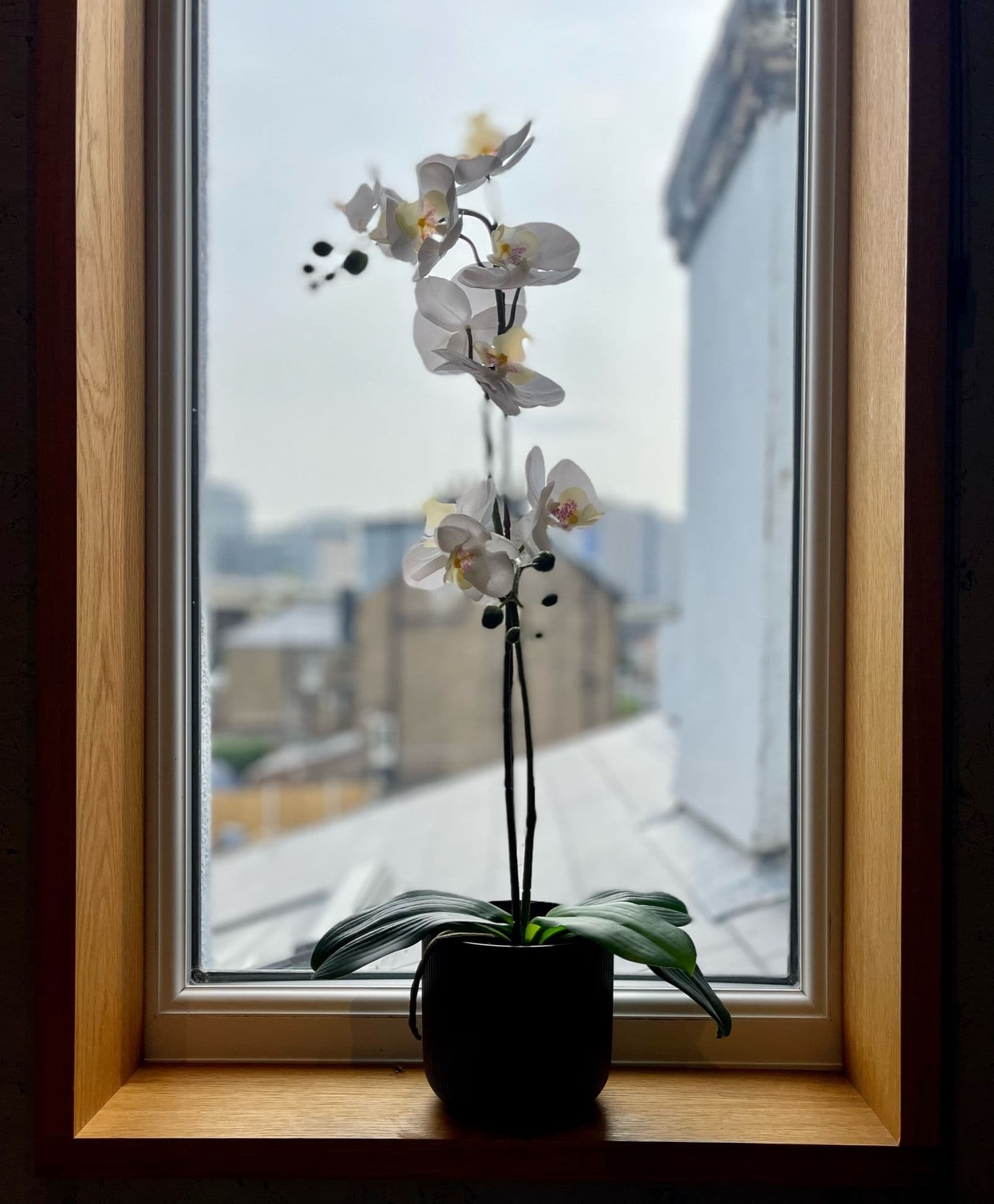 The Loft — photo 19 of 23